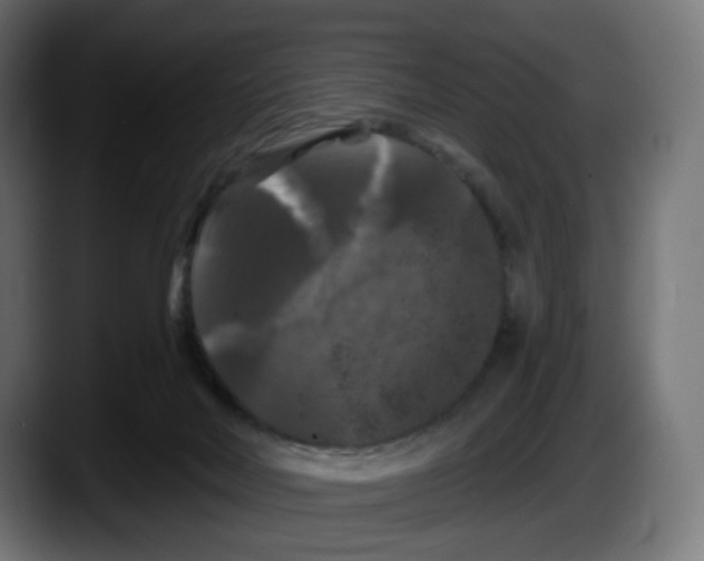 X0000087530026200705251709