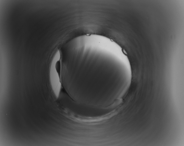 X0000087530027200705251709