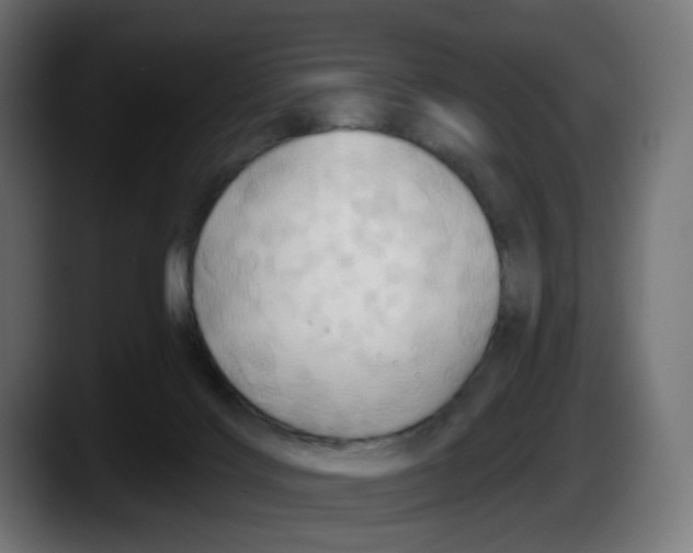 X0000087530028200705251708