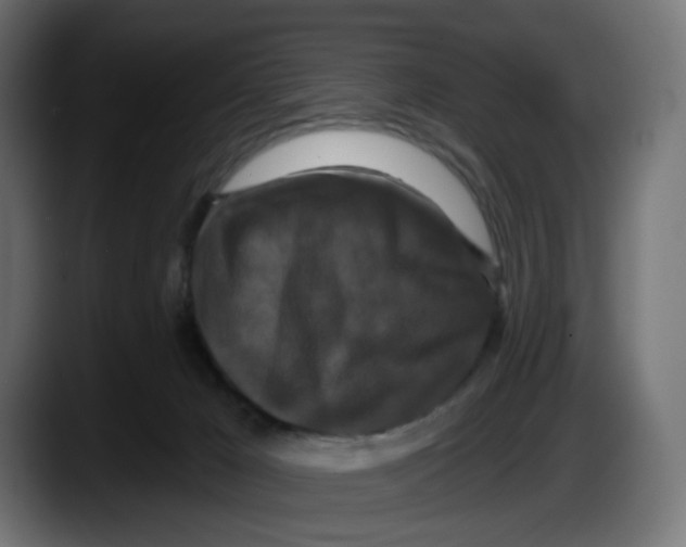 X0000087530029200705251708