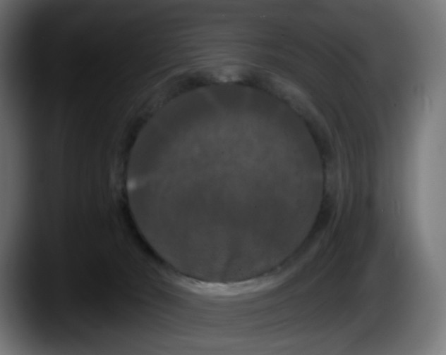 X0000087530030200705251708