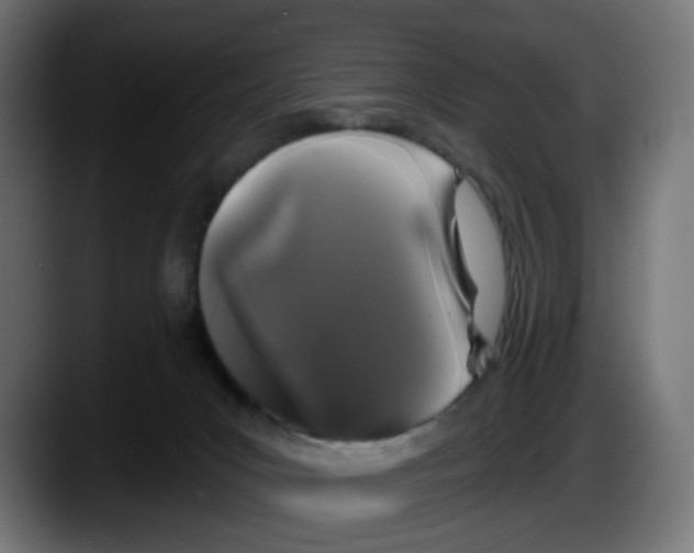 X0000087530031200705251708