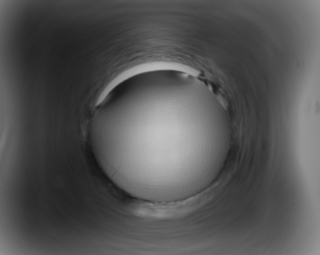 X0000087530033200705251708
