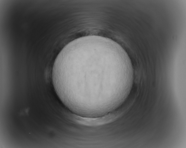 X0000087530034200705251708
