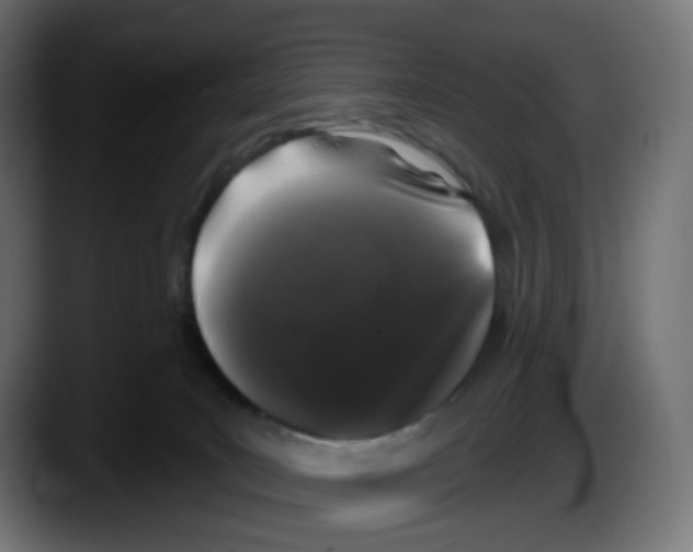 X0000087530035200705251708