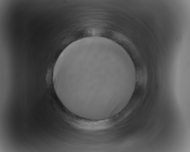 X0000087530036200705251708