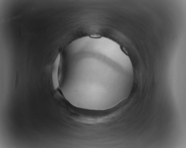 X0000087530037200705251708
