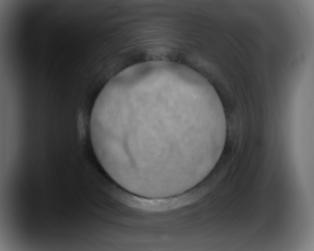 X0000087530038200705251708
