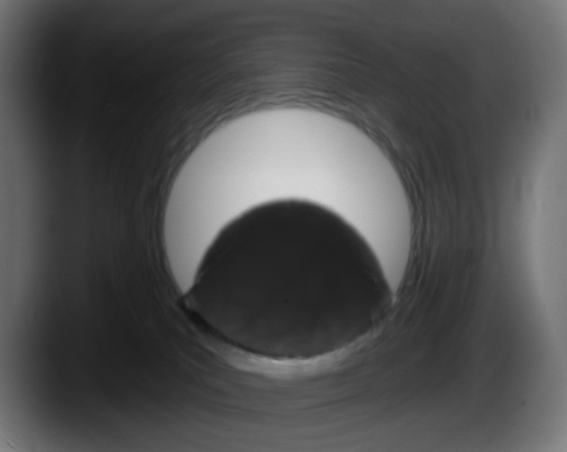 X0000087530039200705251708