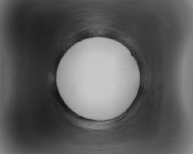 X0000087530040200705251708