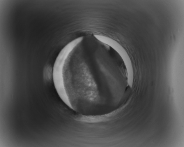 X0000087530041200705251708