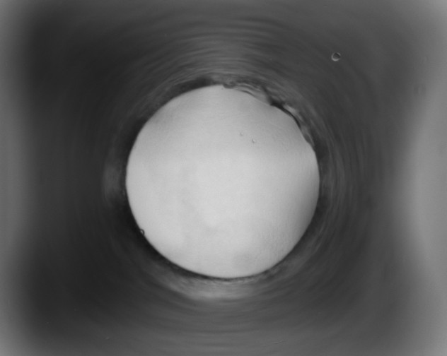 X0000087530044200705251708