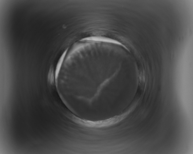 X0000087530046200705251708