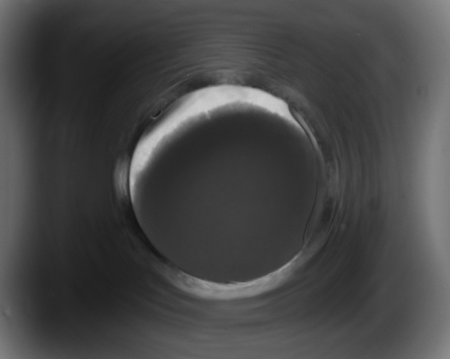 X0000087530047200705251708