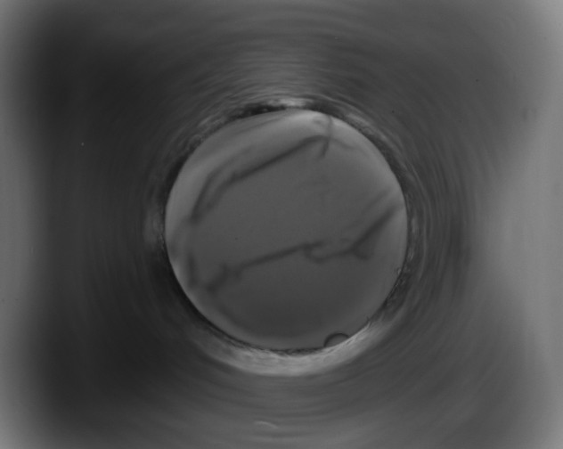 X0000087530048200705251708