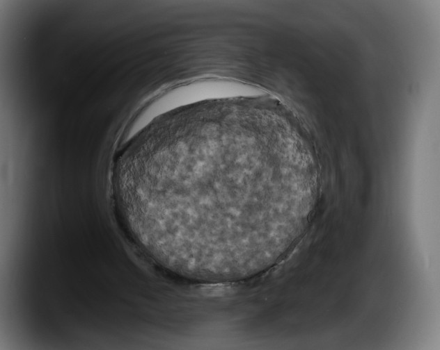 X0000087530050200705251708