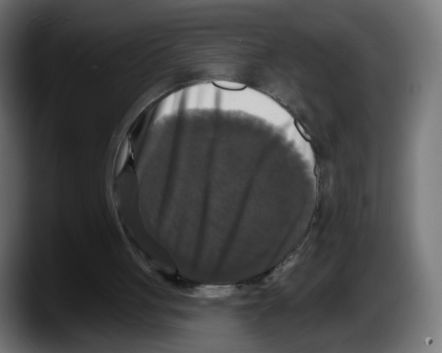 X0000087530051200705251708