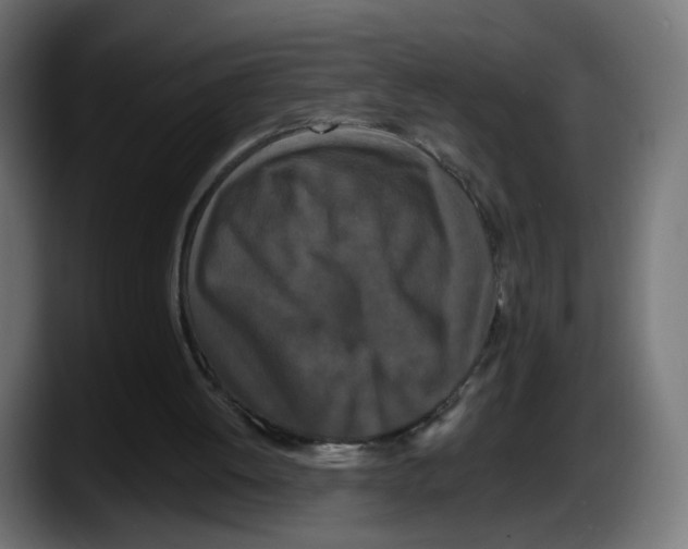 X0000087530052200705251708