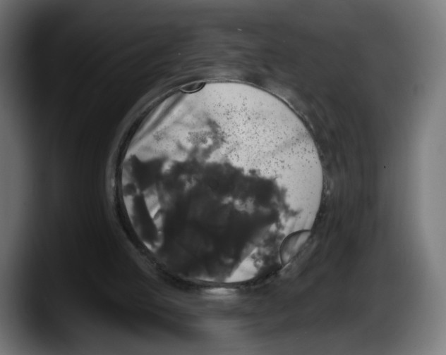 X0000087530053200705251708