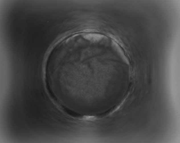 X0000087530055200705251708