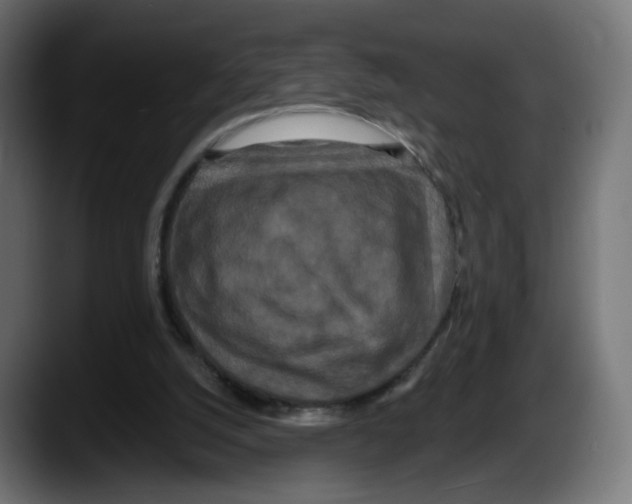 X0000087530056200705251708