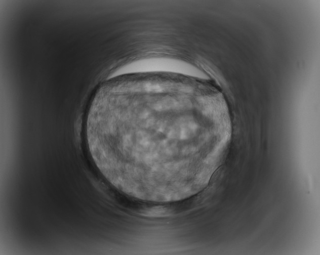 X0000087530058200705251708