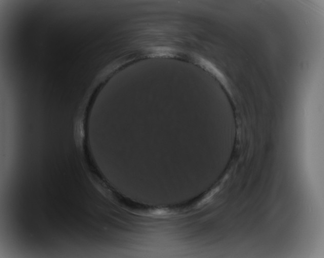 X0000087530059200705251708