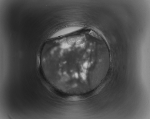 X0000087530061200705251708