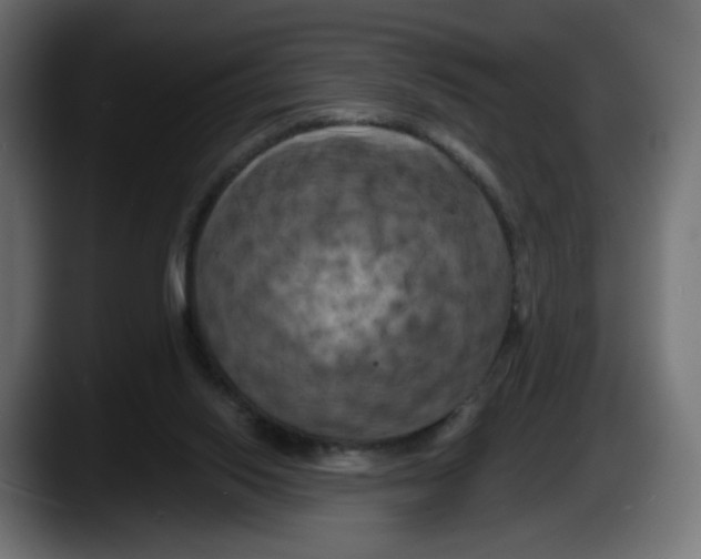 X0000087530062200705251708