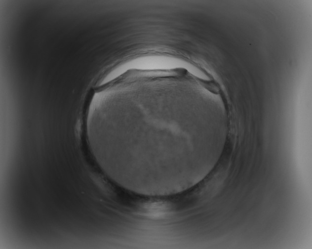 X0000087530063200705251708