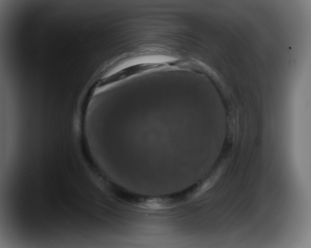 X0000087530064200705251708