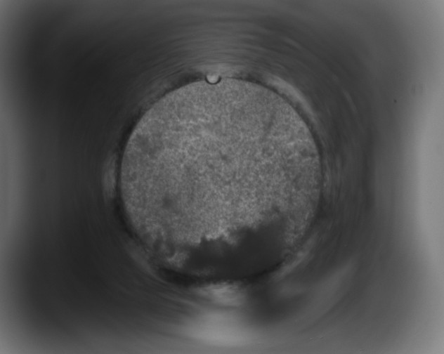 X0000087530065200705251708