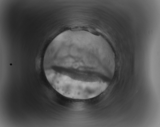 X0000087530066200705251708