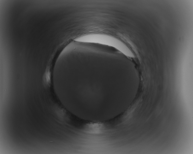 X0000087530067200705251708