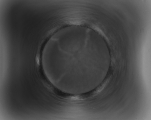 X0000087530068200705251708