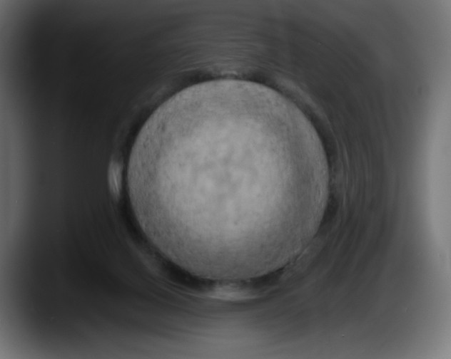 X0000087530070200705251708