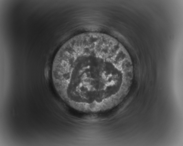 X0000087530071200705251708
