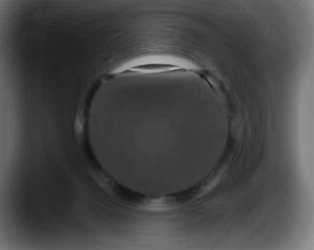 X0000087530072200705251708