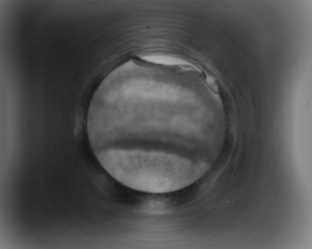 X0000087530073200705251708