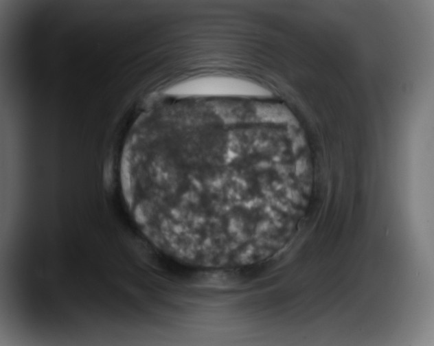 X0000087530074200705251708