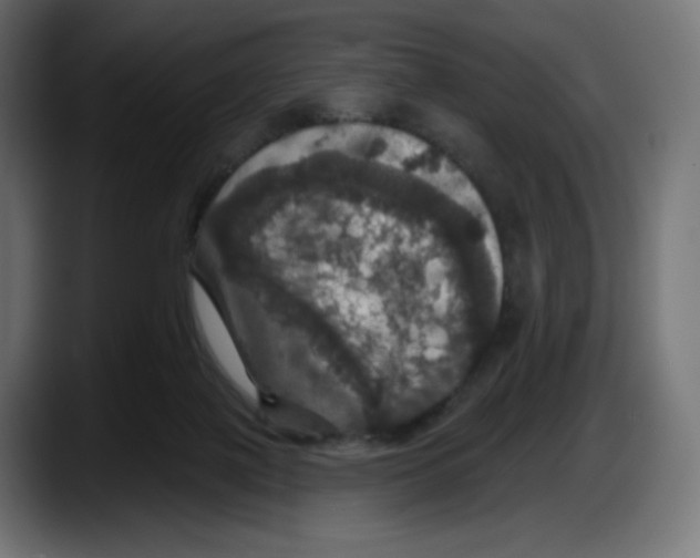 X0000087530075200705251708