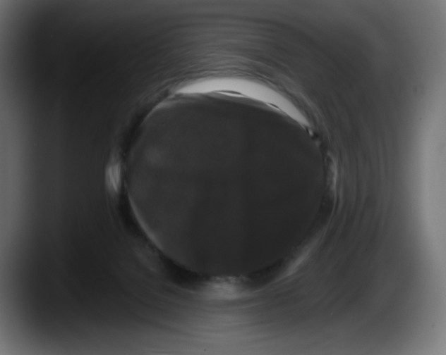 X0000087530076200705251708