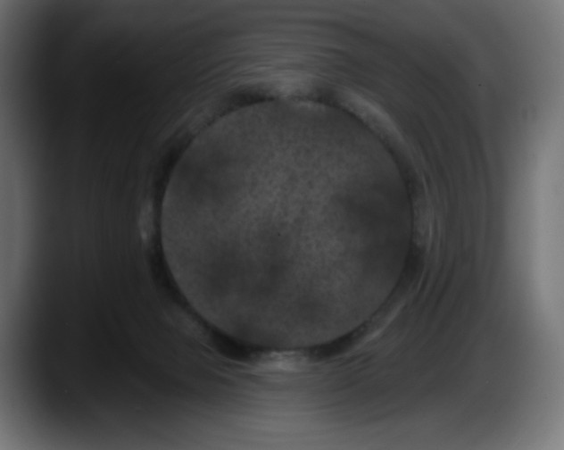 X0000087530077200705251708