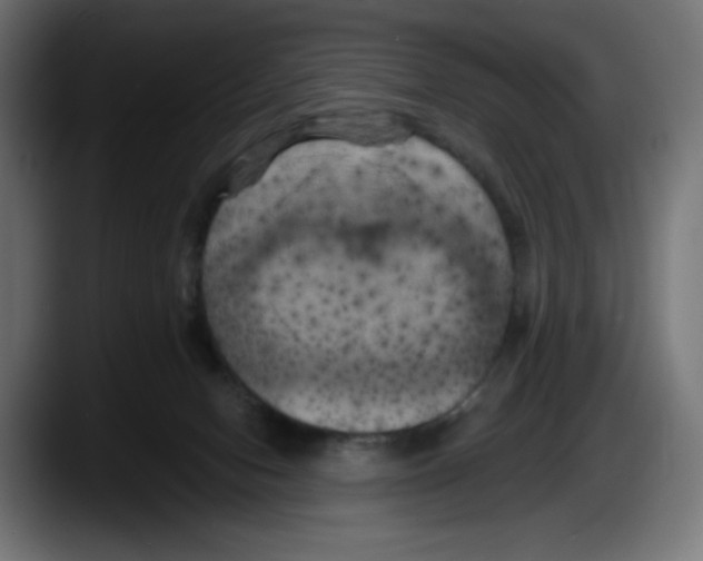 X0000087530078200705251708