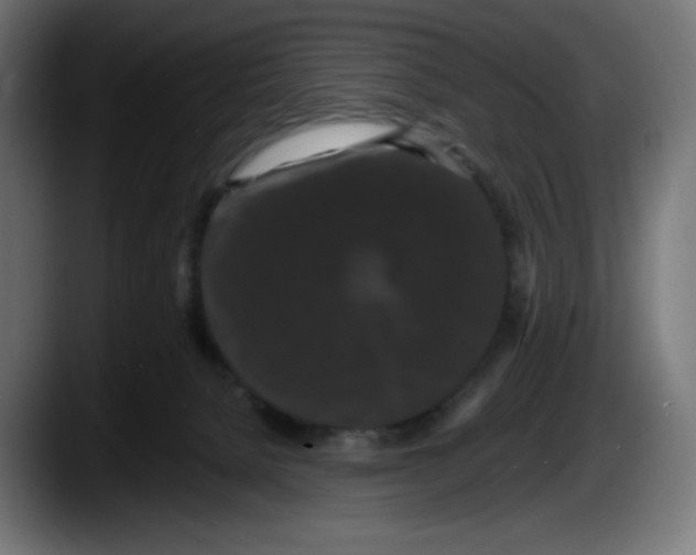 X0000087530080200705251708