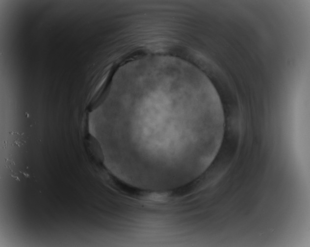 X0000087530081200705251708