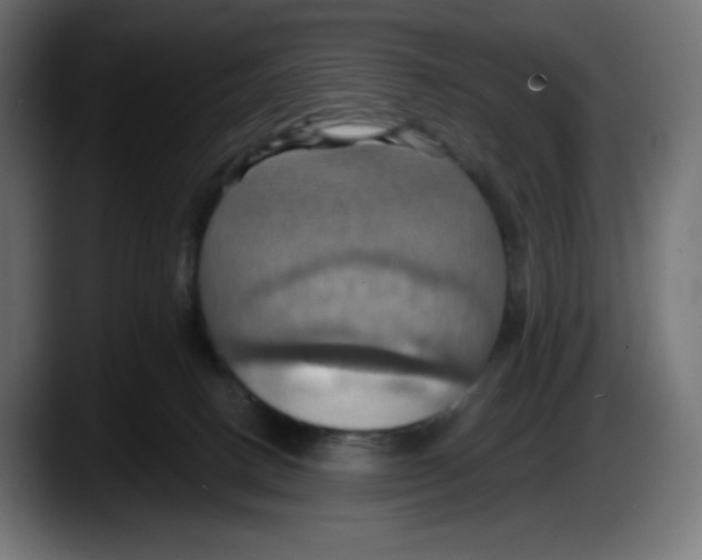 X0000087530082200705251708