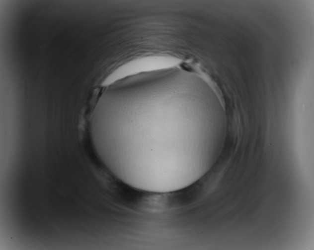 X0000087530084200705251708