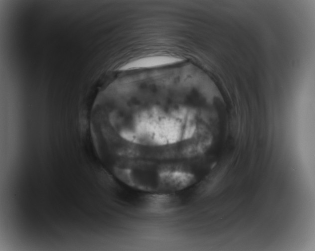 X0000087530085200705251708