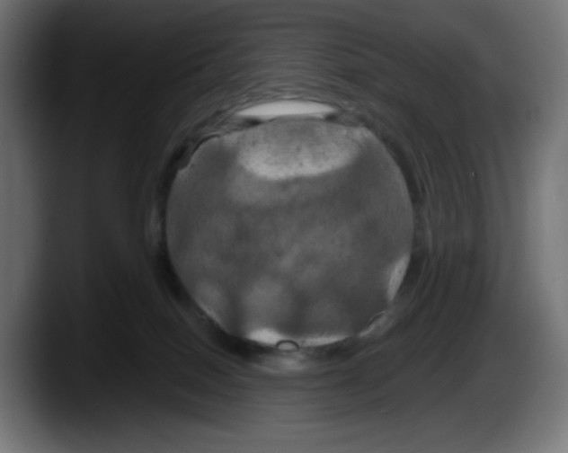 X0000087530086200705251708